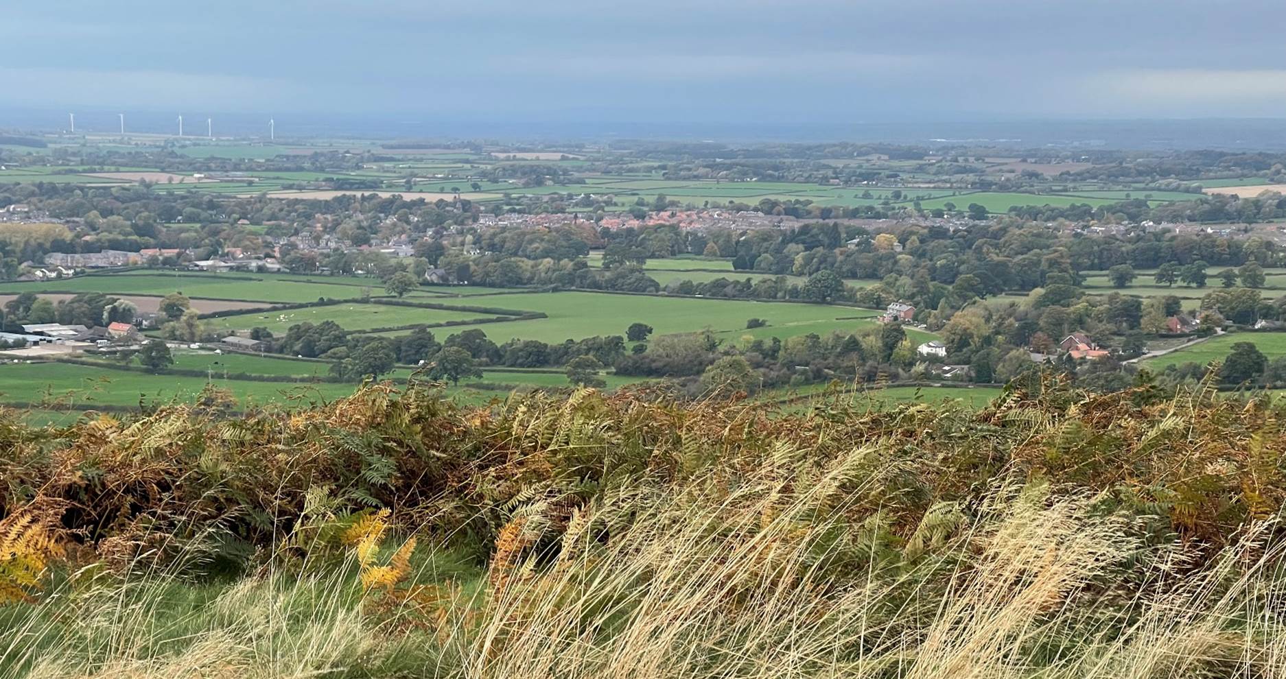 A view of a landscape with a city and a valley
Description automatically generated with medium confidence